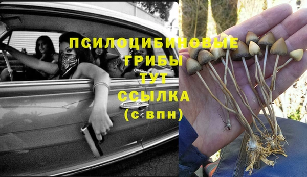 мет Лагань