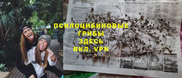 не бодяженный Лабытнанги
