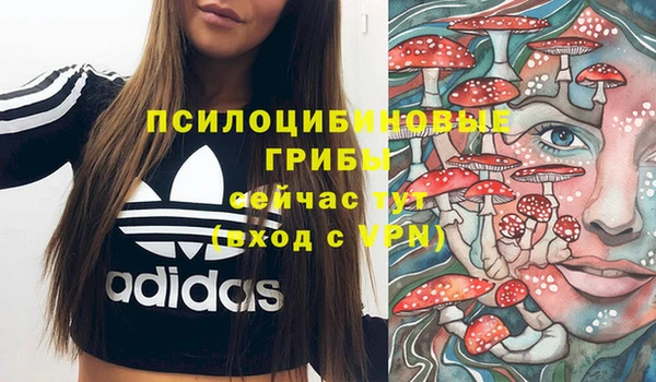 Альфа ПВП Ладушкин