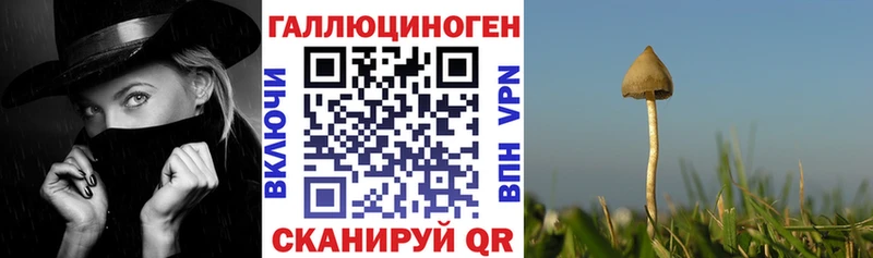 Галлюциногенные грибы Psilocybe  OMG онион  Керчь 